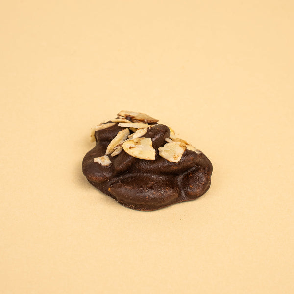 toasted almonds enrobed in chocolate