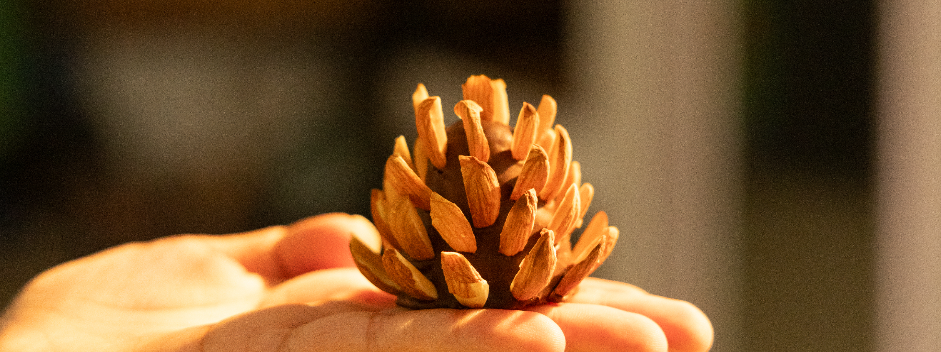 an edible pinecone made with the goodness of molten dates, spices and nuts