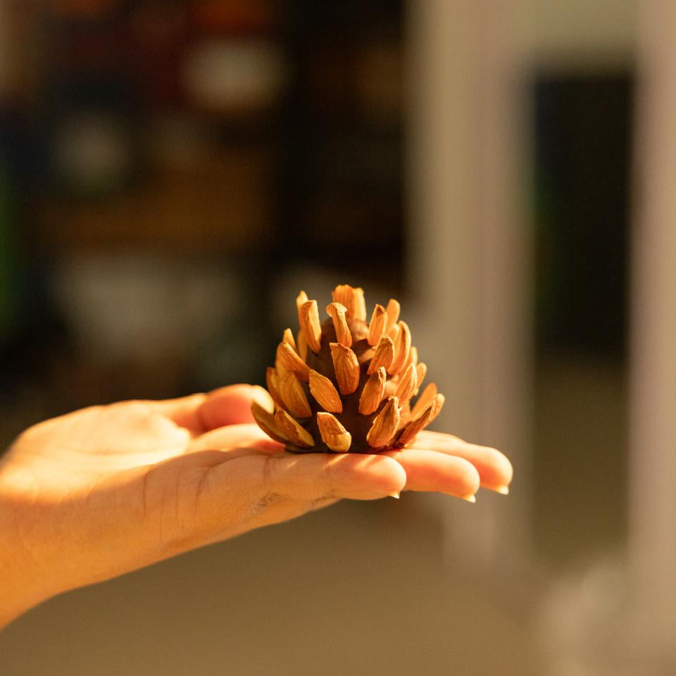 An edible pinecone made from molten dates, candied dried fruits and biscuit