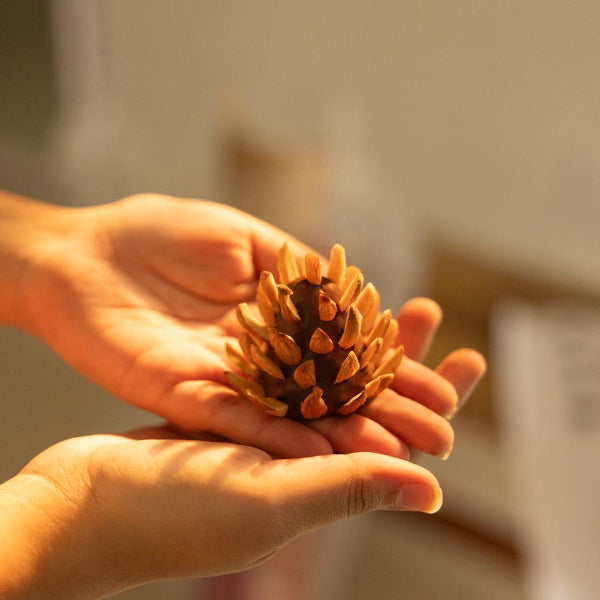 An edible pinecone made from molten dates, candied dried fruits and biscuit