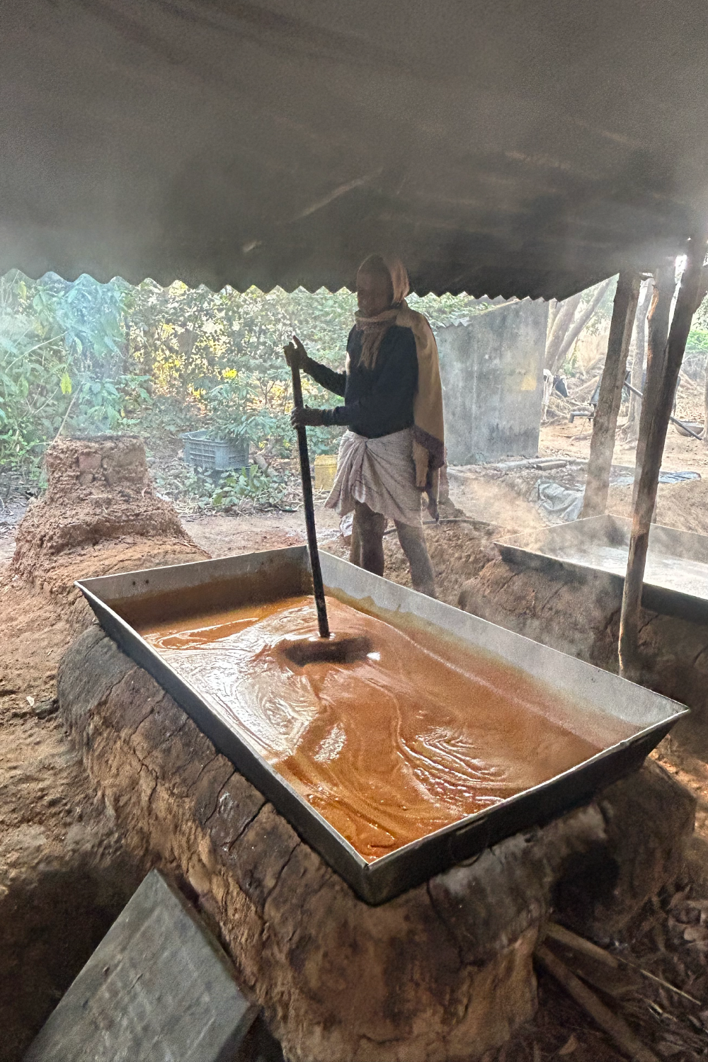 The making of pure date sap jaggery called Nolen Gur in Bengal during winters